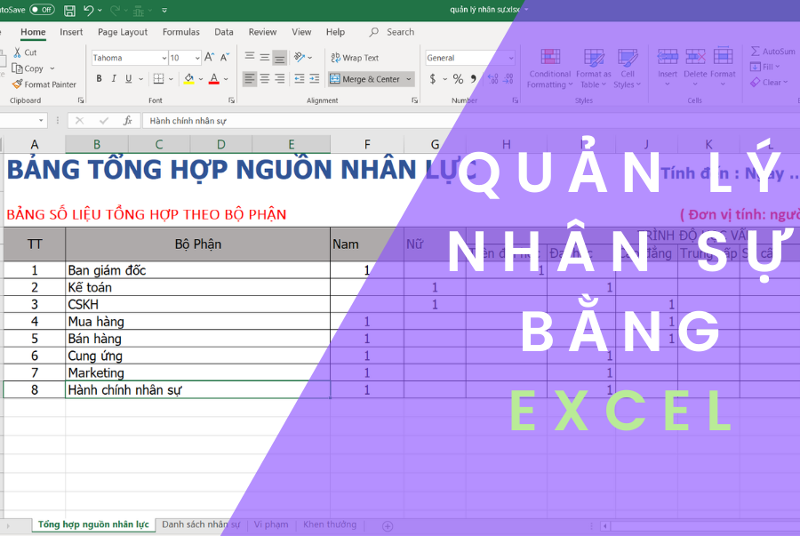 Quản lý nhân sự bằng excel
