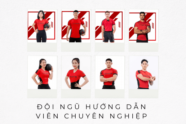 Huấn luyện viên giàu kinh nghiệm