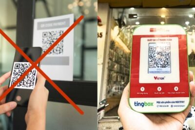 TingBox - Thanh toán QR Code tự động, an toàn, chính xác